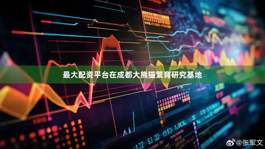 最大配资平台在成都大熊猫繁育研究基地