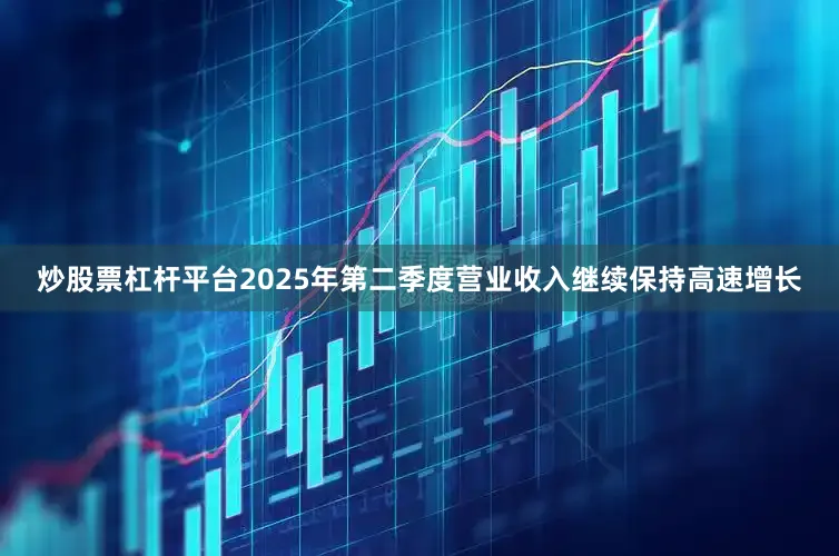 炒股票杠杆平台2025年第二季度营业收入继续保持高速增长